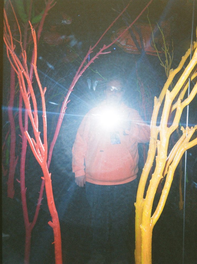 Meow Wolf, photo 5 of 6, Meow Wolf, Santa Fe